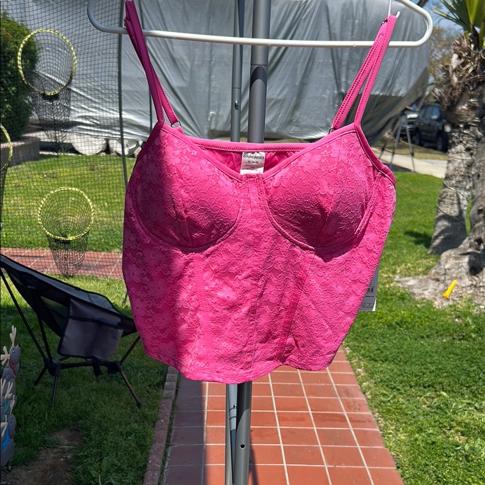 Pink Lace Bustier Top